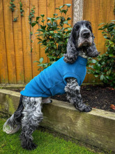 Débardeur Pour Chien, Sarcelle Foncée