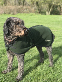 Manteau Pour Chien, Vert Olive