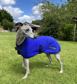 Manteau Pour Chien, Bleu Cobalt