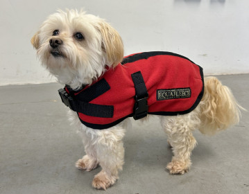 Manteau Pour Chien, Rouge